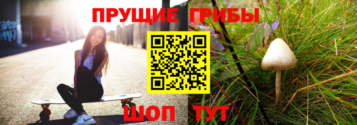 Псилоцибиновые грибы ЛСД  Псилоцибиновые грибы Cubensis  Кудрово  Вход с VPN 