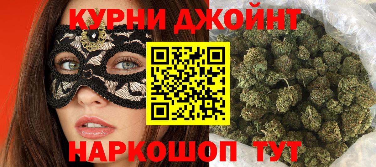 Каннабис ГИДРОПОН Кудрово